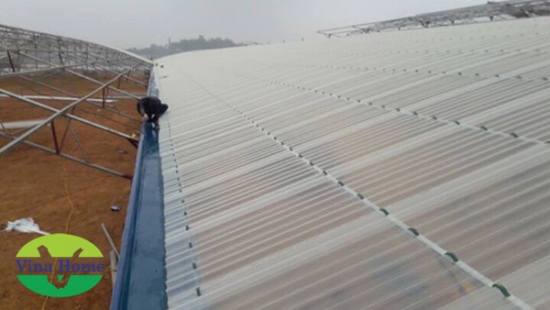 Báo giá nhựa lấy sáng Composite